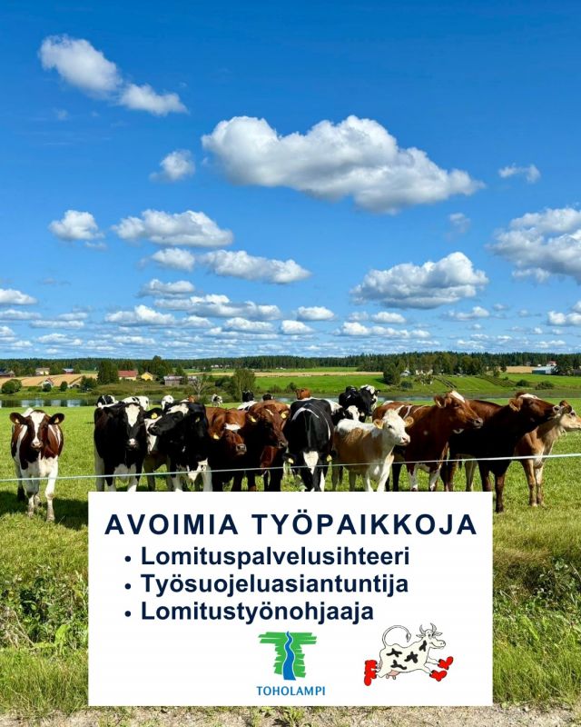 Toholammin lomituspalveluissa on paikkoja auki:

🔹 Lomituspalvelusihteerin vakituinen tehtävä.  Hae 5.5.2025 klo 15 mennessä!
🔹 Työsuojeluasiantuntijan vakituinen tehtävä. Hae 5.5.2025 klo 15 mennessä!
🔹 Lomitustyönohjaajan toistaiseksi voimassa oleva tehtävä. Hae 25.4. klo 12 mennessä!

Tutustu paikkoihin ja hae Kuntarekryssä: www.kuntarekry.fi/fi/tyonantajat/toholammin-kunta.

Kuva: Satu Linna

@kuntarekry #avointyöpaikka #toholamminlomituspalvelut #lomituspalvelut #lomituspalvelusihteeri #työsuojelu #lomitustyönohjaaja #toholamminkunta #toholampi #luonnollinenkotilaakso